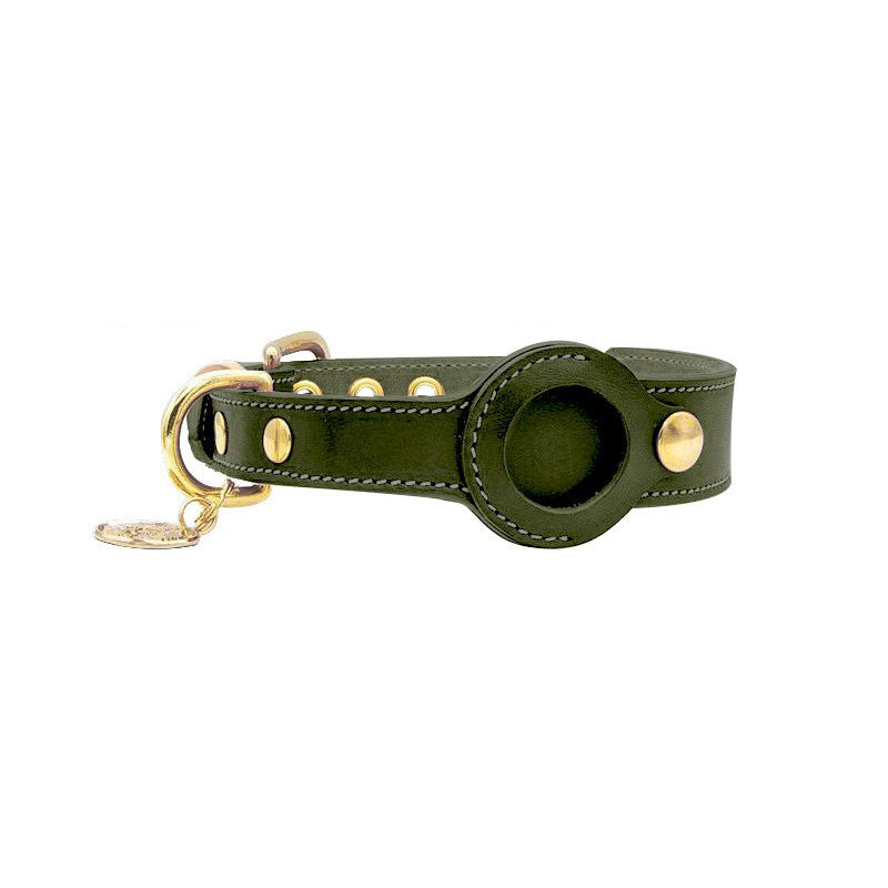Green leather dog collar with gold accents on a white background