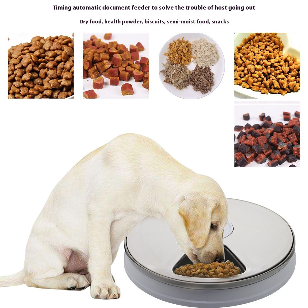 Automatic pet feeder with timer - smart feeding for dogs and cats