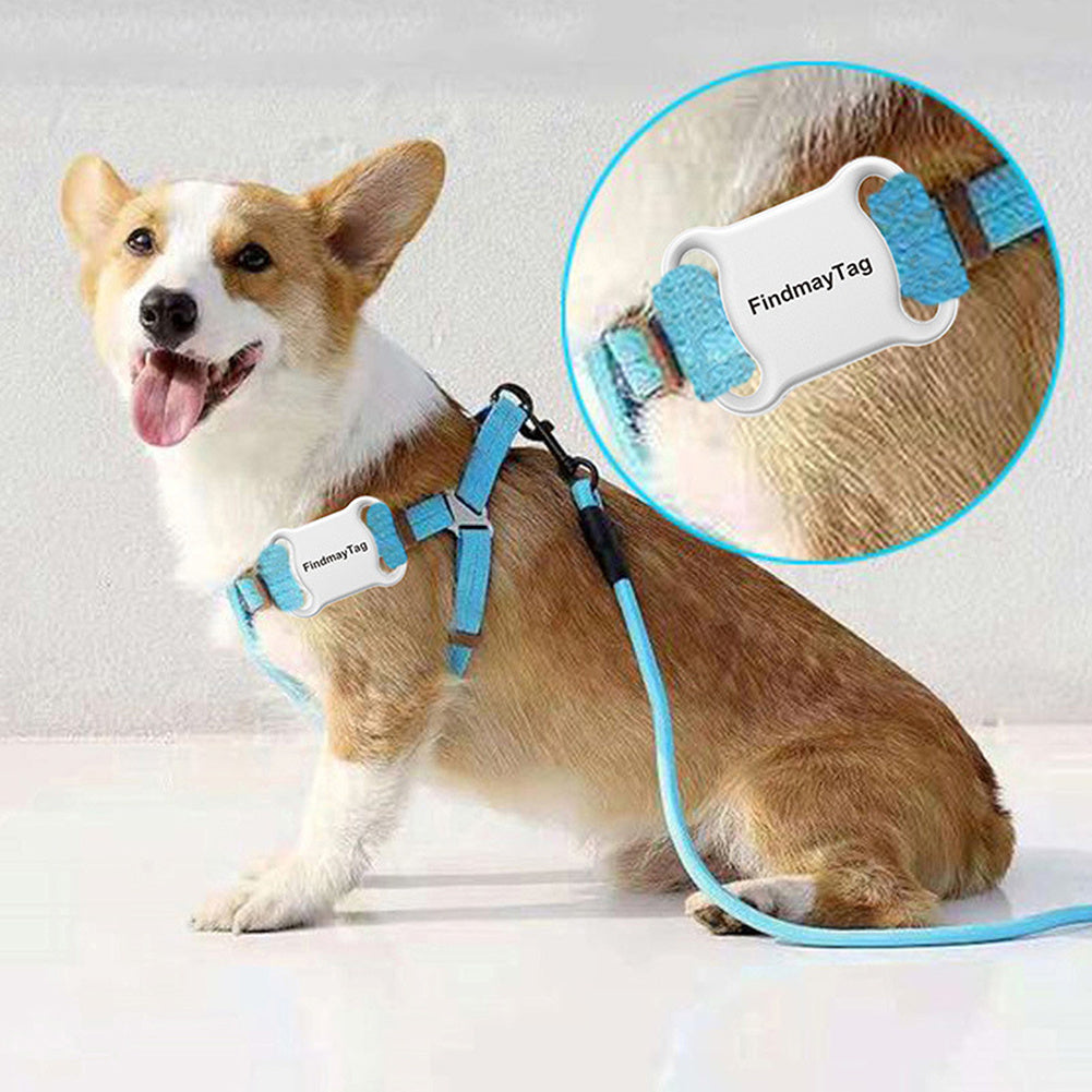 Smart Pet GPS Locator attached to a blue harness on a Corgi dog. Lightweight ABS device, 10g, 45x33mm, ideal for tracking pets anytime.