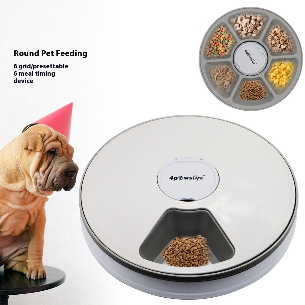 Automatic pet feeder with timer - smart feeding for dogs and cats