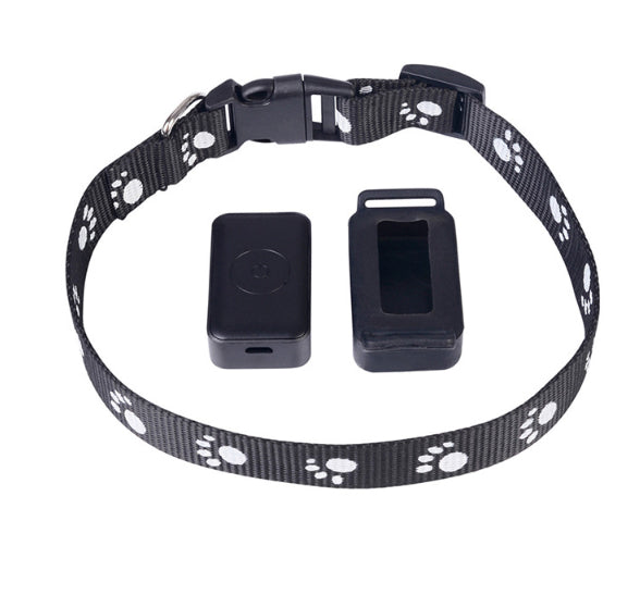 Black dog collar with two black devices on a white background