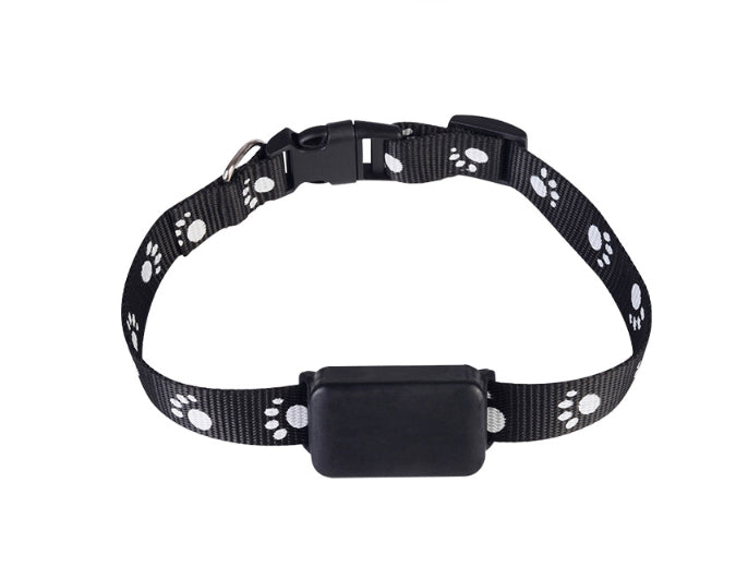 Black dog collar with white paw prints on a white background