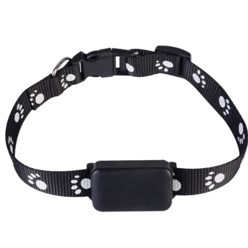 Black dog collar with white paw prints on a white background