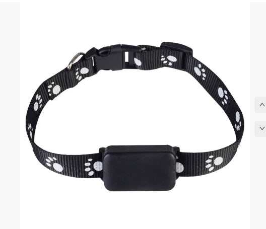 Black dog collar with paw print pattern on a white background