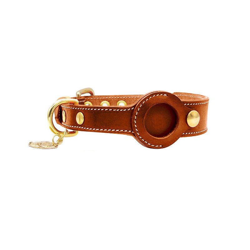 Brown leather dog collar with gold hardware on a white background