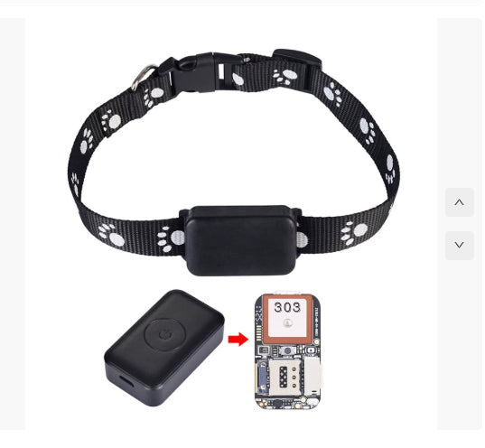 Black dog collar with a small black device attached, on a white background.