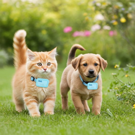 Nut Mini Bluetooth Pet Locator - Alarm Collar for Cats & Puppies